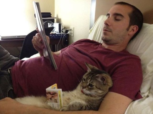 коты и хозяева.jpg