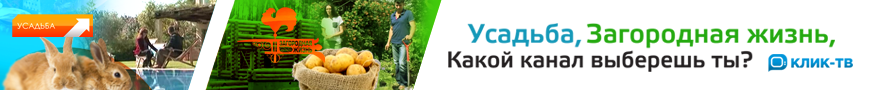 КАНАЛЫ_870Х90_УСАДЬБА И ЗЖ.png